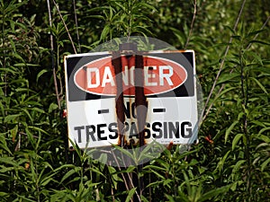 Danger, No Trespassing - Sign