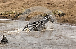 Danger on the riverbank