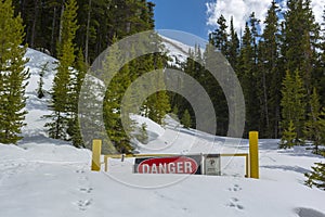 Danger Sign Blocking a Road in a Snowbank in a Mountain Forest