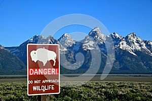 Danger Sign, Do Not Approach Wild Like, Grand Teton National Park, Wyoming.