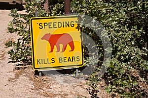 Danger sign, Speeding kills Bears
