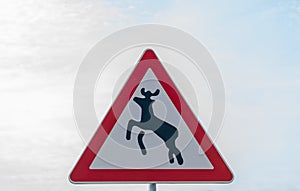 Danger traffic sign, wild animals