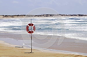 Danger, Water Sports, Drowning, Sand Beach, Sunny Day