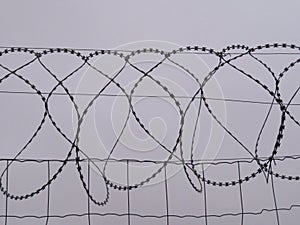 Dangerous barbed wire protection security reserve cut photo