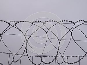 dangerous barbed wire protection security reserve cut