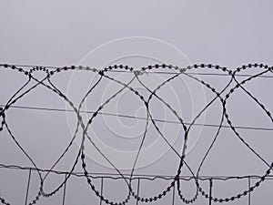 dangerous barbed wire protection security reserve cut photo