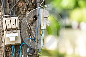 Dangerous electric cable and equipment set up on the tree photo