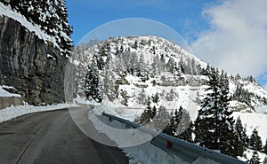 dangerous icy road.mountain in winter with freshly fallen snow on conifers