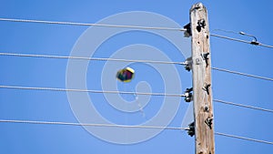 Dangerous kite flying near electric power lines