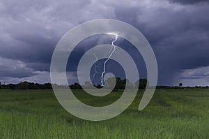 Dangerous lightning over the field far away