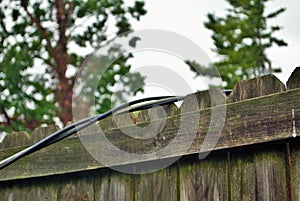 Dangerous live downed power line draped across fence