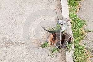Dangerous open manhole on the pedestrians walkway or sidewalk
