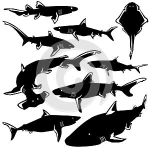 Dangerous sharks vector silhouettes