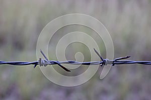 Dangerous sharp steel barbed wire, demarcation, freedom concept photo