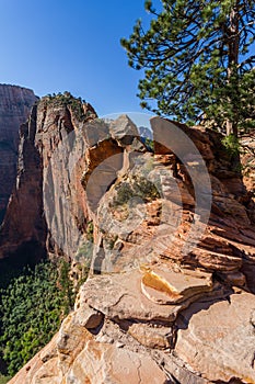 Dangerous trail in Zion National Park, Angel's landing