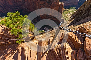 Dangerous trail in Zion National Park, Angel's landing