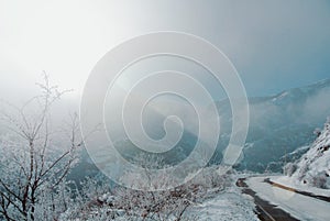 A dangerous winter serpentine road with attention signs covered