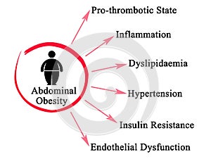 Dangers of Abdominal Obesity