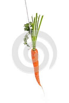 Dangling carrot