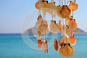 Dangling Shells in a Wind Chime