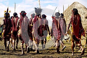 Dani people during tribe festival in wamena