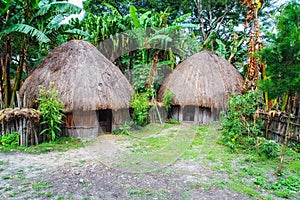 Dani Village. Baliem Valley Papua, Irian Jaya, Indonesian New Guinea