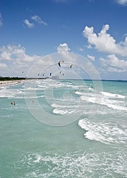 Dania Beach Kite Surfers