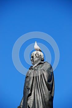 Daniel 0'Connoll with pigeon