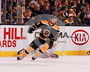 Daniel Paille Boston Bruins