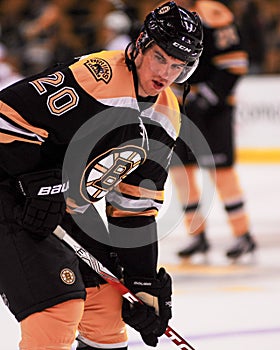 Daniel Paille, Boston Bruins