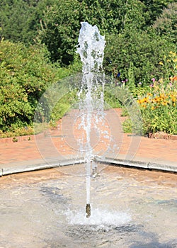 Daniel Stowe Garden fountain & flowers