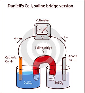 Daniell`s Cell, saline bridge version vector illustration