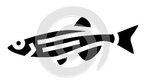 danios fish glyph icon animation