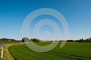 Danish Agricultural landscape