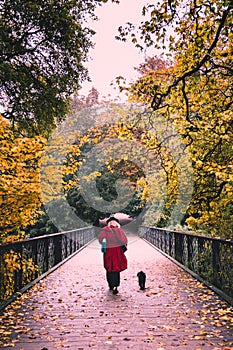 Danish autumn ambience