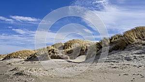 Danish Coast and Beach Line in GrÃ¸nhoj, near LÃ¸kken, North Denmark