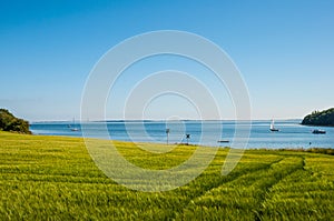 Danish coastal landscape