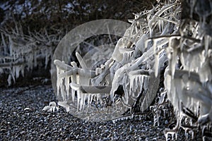 Danish coastline winter landscape with icicles.