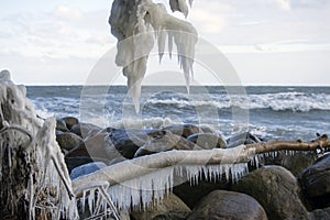 Danish coastline winter landscape with icicles.