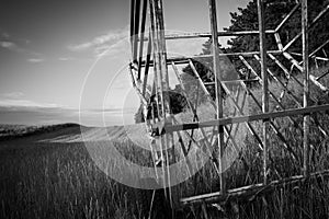 Danish countryside - farming idyl photo