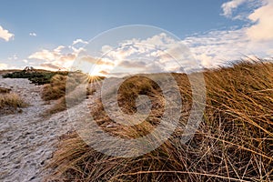 Danish dune landscape