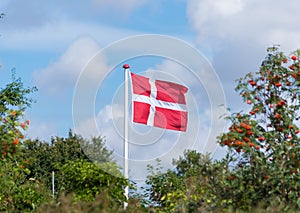 Danish flag above trees photo