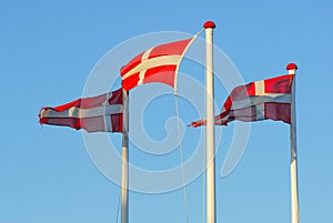 Danish Flag Dannebrog photo