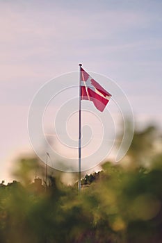 Danish flag, Dannebrog, in the wind photo