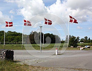 Danish flags