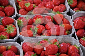 Danish fruit vendors sells danish strawberry fruit in Copenhagen