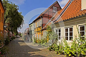 Danish houses