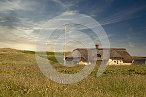 Danish idyll in a green grassy field under a cloudy sky