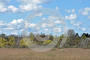 Danish landscape at springtime