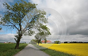 Danish landscape01